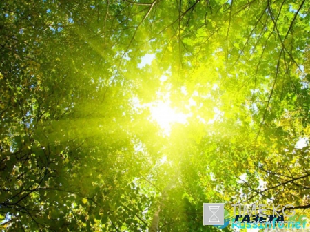 Самый длинный день в 2018 году