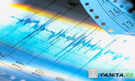 Сильнейшее землетрясение магнитудой 8,1 балла произошло на тихоокеанском побережье Мексики