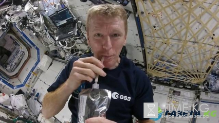 Ученые начнут выращивать на МКС органы для космонавтов