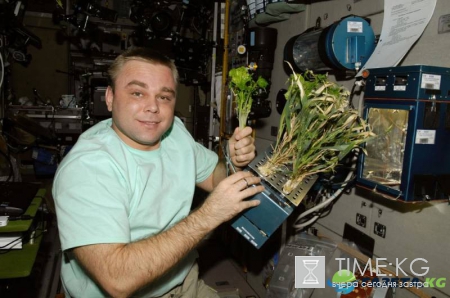 Ученые начнут выращивать на МКС органы для космонавтов