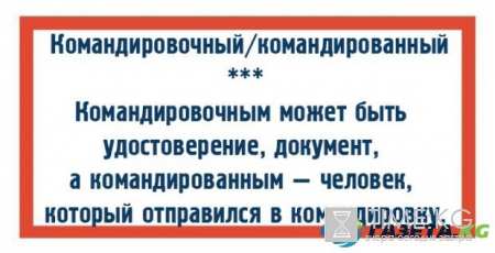 Урок грамоты: ТОП-10 пар слов которые чаще всего путают люди