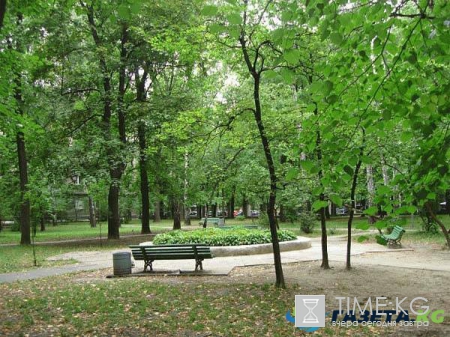 В Москве во всех районах реновации будут благоустроены парки