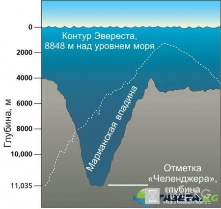 Всемирный день океанов: Интересные факты