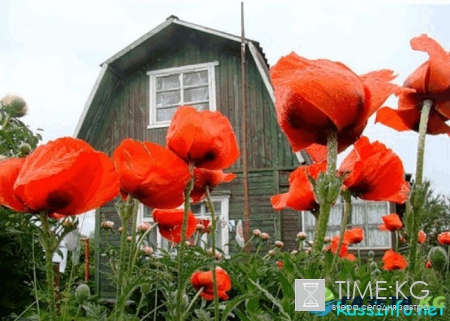 Закон о государственном кадастре недвижимости 2018