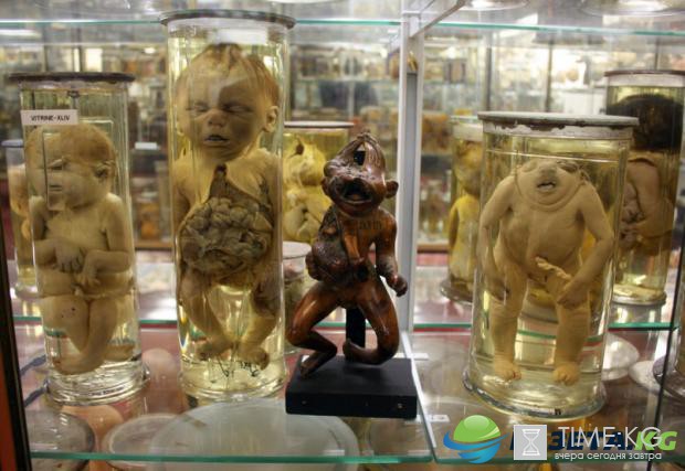 ТОП-10 самых страшных музеев мира ТОП-10 самых страшных музеев мира