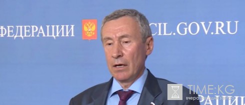 В Совфеде назвали заявления Украины о «российском беспилотнике» провокацией
