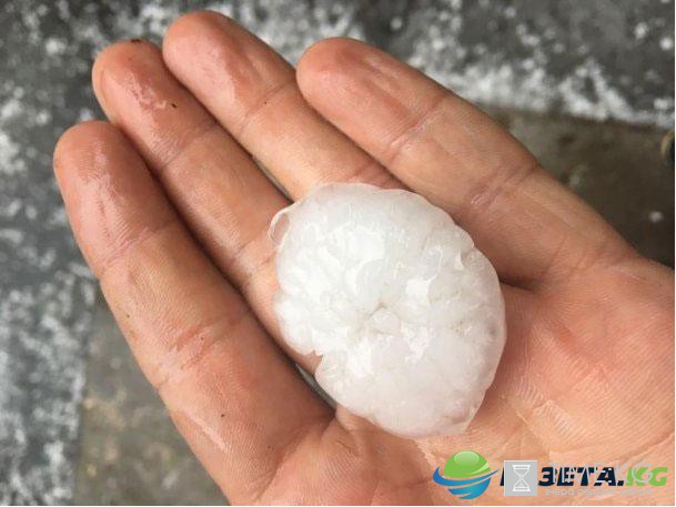 Винничане поделились фото и видео огромного града размером с грецкий орех