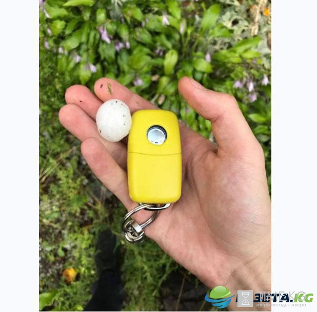 Винничане поделились фото и видео огромного града размером с грецкий орех Винничане поделились фото и видео огромного града размером с грецкий орех