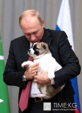 Путину подарили алабая по кличке Верный