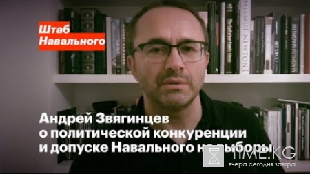 Режиссер «Левиафана» выступил в поддержку Навального