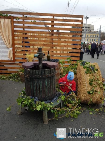 Винный блог. Национальный праздник вина – 2017 в Молдове. Просто Фотозаметки