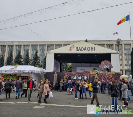 Винный блог. Национальный праздник вина – 2017 в Молдове. Просто Фотозаметки