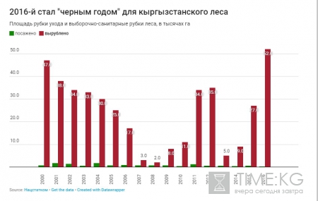 Кыргызстан может полностью лишиться лесов через 150 лет