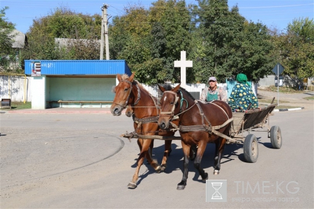 Мигранты Молдовы развивают сельский туризм