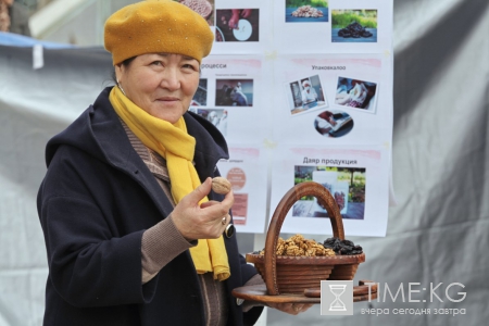 Фестиваль орехов «Кыргыз Жангак»