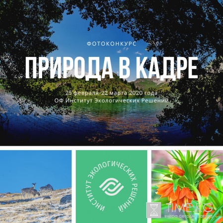 Фотоконкурс "Природа в кадре"