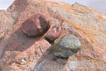 Выходной  в  Чонкурчаке. Для достижения гармонии можно поехать далеко, а можно и в предгорья Бишкека, например, в ущелье Чонкурчак.