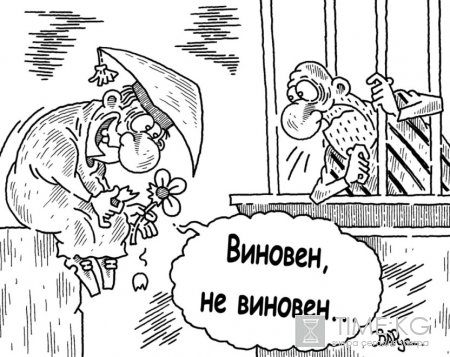 Карикатура Руслана Валитова PART 1