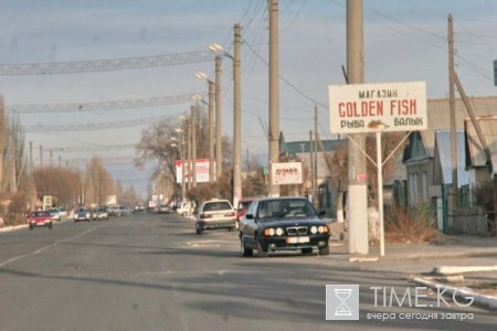 Станет ли туризм в 2011 нашим спасательным кругом? Станет ли туризм в 2011 нашим спасательным кругом?