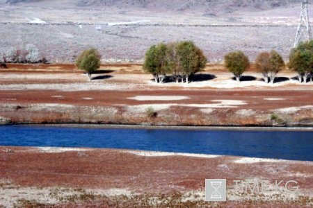 Станет ли туризм в 2011 нашим спасательным кругом? Станет ли туризм в 2011 нашим спасательным кругом?
