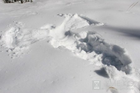 В здоровом теле- здоровый дух!