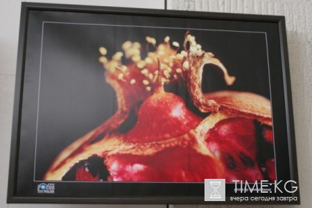 Фотовыставка иранских фотографов Фотовыставка иранских фотографов