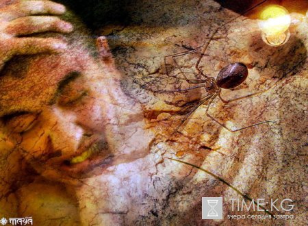В переводе с древнего языка Индии санскрита «Майя» означает «Иллюзия». В переводе с древнего языка Индии санскрита «Майя» означает «Иллюзия».