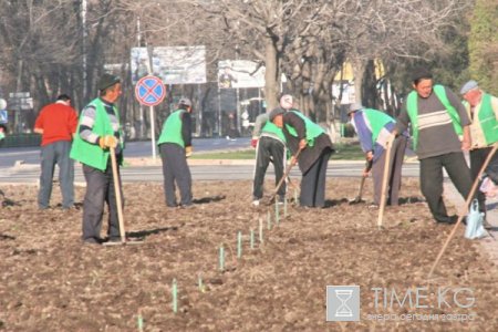 Месячник благоустройства стартовал в столице Кыргызстана.