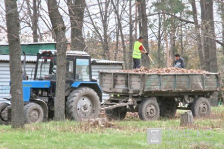 Месячник благоустройства стартовал в столице Кыргызстана.