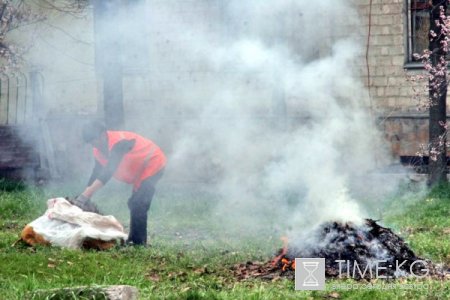 Месячник благоустройства стартовал в столице Кыргызстана.