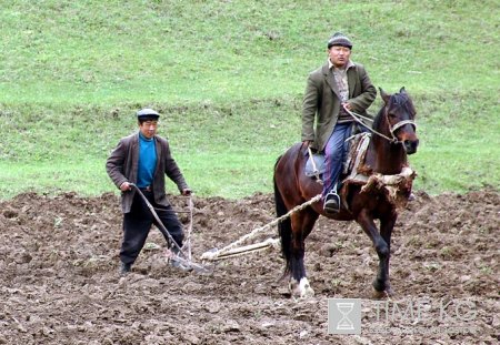 Критическая ситуация складывается в стране с посевной.
