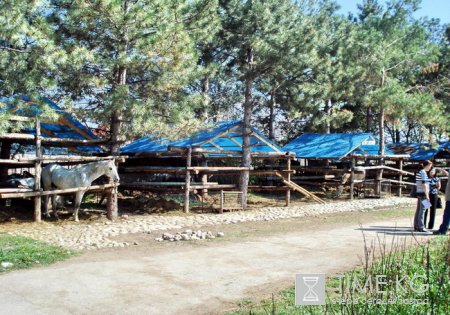 В парке Ата-Тюрк с 2005 находиться незаконно конная школа и приносит вред окружающей среде. В парке Ата-Тюрк с 2005 находиться незаконно конная школа и приносит вред окружающей среде.