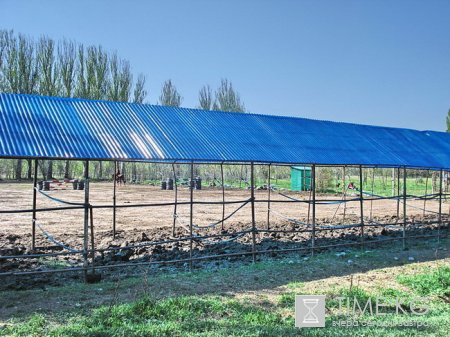 В парке Ата-Тюрк с 2005 находиться незаконно конная школа и приносит вред окружающей среде. В парке Ата-Тюрк с 2005 находиться незаконно конная школа и приносит вред окружающей среде.