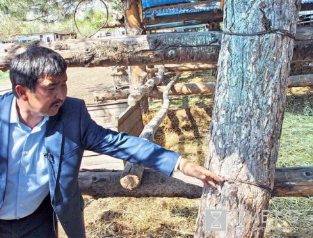 В парке Ата-Тюрк с 2005 находиться незаконно конная школа и приносит вред окружающей среде. В парке Ата-Тюрк с 2005 находиться незаконно конная школа и приносит вред окружающей среде.