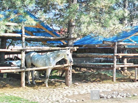В парке Ата-Тюрк с 2005 находиться незаконно конная школа и приносит вред окружающей среде. В парке Ата-Тюрк с 2005 находиться незаконно конная школа и приносит вред окружающей среде.