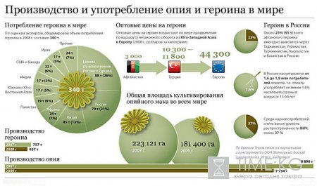 ООН выделит Кыргызстану $3,4 млн на борьбу с наркопреступностью.