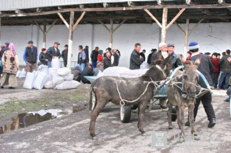 Ваучерная программа во время весеннего сева официально запущена в Кыргызстане