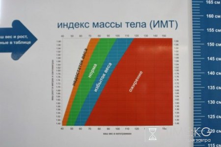 В Кыргызстане по официальным данным, зарегистрировано более 32 000 тысяч пациентов с сахарным диабетом