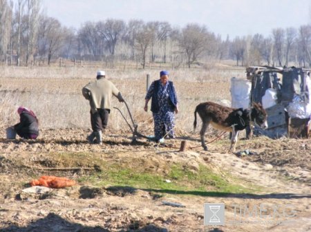 Взгляд в стратегии жизнедеятельности пожилых людей Взгляд в стратегии жизнедеятельности пожилых людей