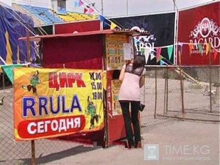 В столице Кыргызстана в цирке Rrula двое детей получили серьезные травмы В столице Кыргызстана в цирке Rrula двое детей получили серьезные травмы