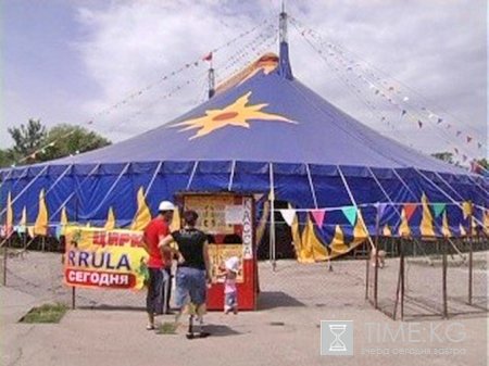 В столице Кыргызстана в цирке Rrula двое детей получили серьезные травмы В столице Кыргызстана в цирке Rrula двое детей получили серьезные травмы