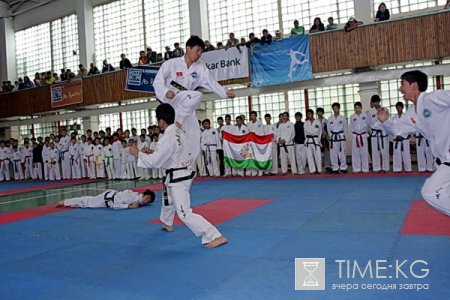 В столице Кыргызстана прошел республиканский чемпионат по таэквондо ITF.