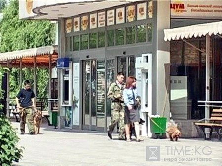 Телефонные террористы продолжают создавать проблемы. Телефонные террористы продолжают создавать проблемы.