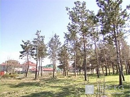 Прокуратура Бишкека проведет проверку по фактам строительства в парке Ата-Тюрк Прокуратура Бишкека проведет проверку по фактам строительства в парке Ата-Тюрк
