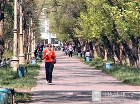 Прокуратура Бишкека проведет проверку по фактам строительства в парке Ата-Тюрк Прокуратура Бишкека проведет проверку по фактам строительства в парке Ата-Тюрк