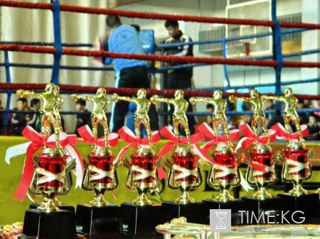 На физкультуру и спорт в Кыргызстане на душу населения выделяется всего 36 сомов в год На физкультуру и спорт в Кыргызстане на душу населения выделяется всего 36 сомов в год