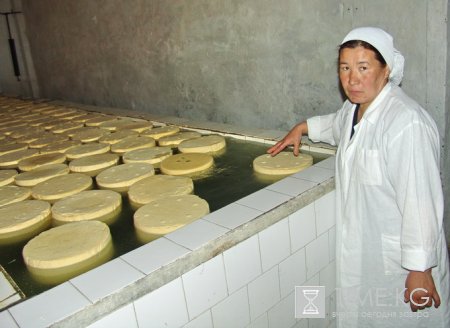 Кыргызстан намерен ввести экспортные пошлины на сырое молоко. Кыргызстан намерен ввести экспортные пошлины на сырое молоко.