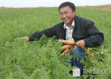 В Кыргызстана будет создан парк высоких аграрных технологий