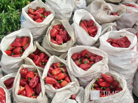 В Кыргызстана будет создан парк высоких аграрных технологий