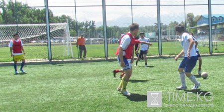 Футбольный турнир между командами политических партий Футбольный турнир между командами политических партий